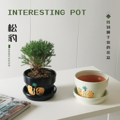 红陶可爱中古吸水透气