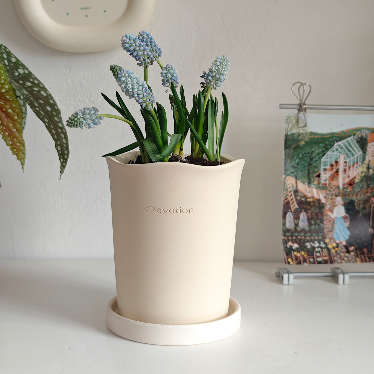 韩系白陶带孔透气利水球兰花盆图片