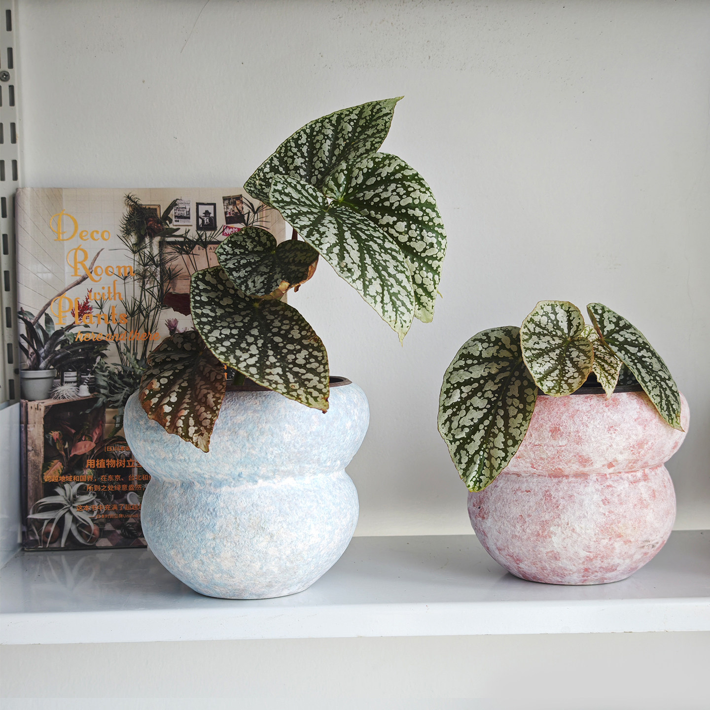 植物幻想陶瓷手绘创意花盆