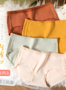 花花公子女士内裤网红日系纯棉短裤2025新款抗菌美少女内裤三角裤