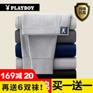 保暖衬裤 全棉线裤 秋冬季 男士 大码 纯棉薄款 打底裤 花花公子秋裤 棉裤