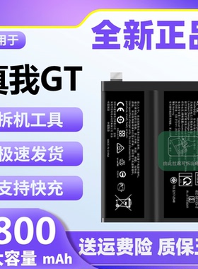 适用于真我GT电池原装正品魔改大容量RMX2202手机全新电板BLP849