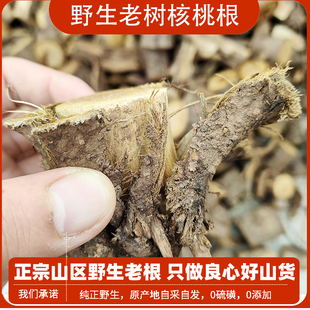 正宗野生山核桃树根核桃树老根树枝新货煮鸡蛋干货无硫