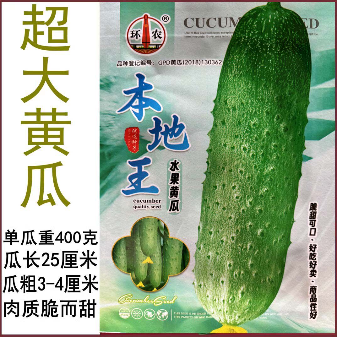 本地王中王唐山秋瓜黄瓜种子中熟水果肉质脆甜大吊瓜种孑蔬菜种籽