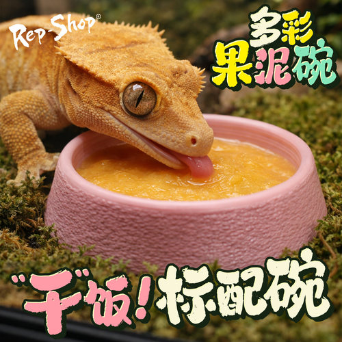 爬宠果泥食盆喂食碗小碗睫角碗迷你水盆盖勾亚R属守宫蜥蜴造景