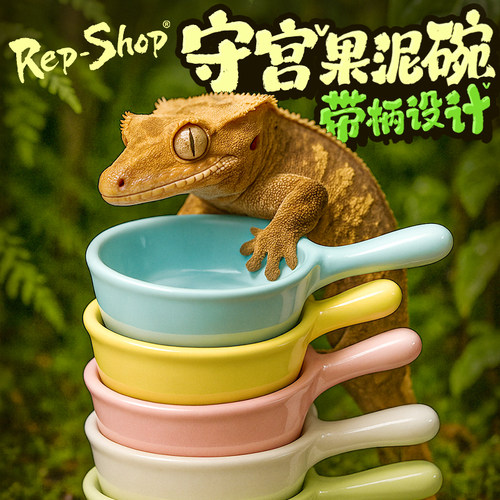 爬宠果泥食盆爬虫睫角巨人盖勾亚R属守宫盘古果泥搅拌碗喂食勺