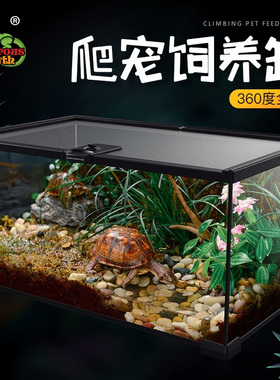 玻璃饲养箱爬虫缸雨林水陆缸爬宠睫角守宫角蛙蜥蜴蜘蛛甲虫生态缸