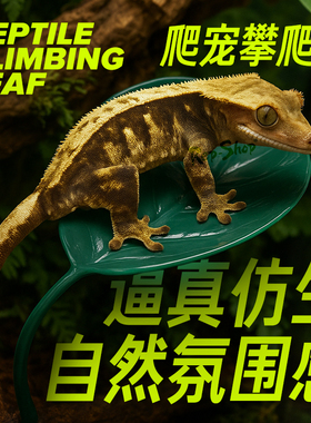 睫角攀爬叶树栖爬宠悬浮窝R属守宫雨林缸仿真造景姥爷树蛙躲避
