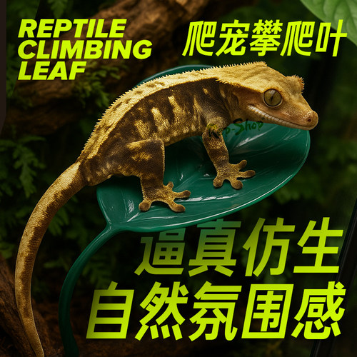 睫角攀爬叶树栖爬宠悬浮窝R属守宫雨林缸仿真造景姥爷树蛙躲避