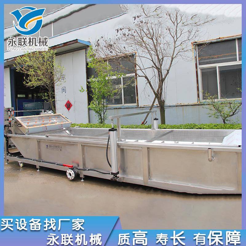 白菜去泥清洗浪生线 不锈钢 果蔬QX-1000气泡产清洗机草莓水浴冲