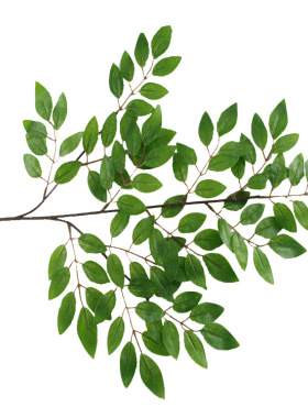 仿真植物假树叶红色枝杆豆花树叶槐树叶子DIY背景墙装饰树枝