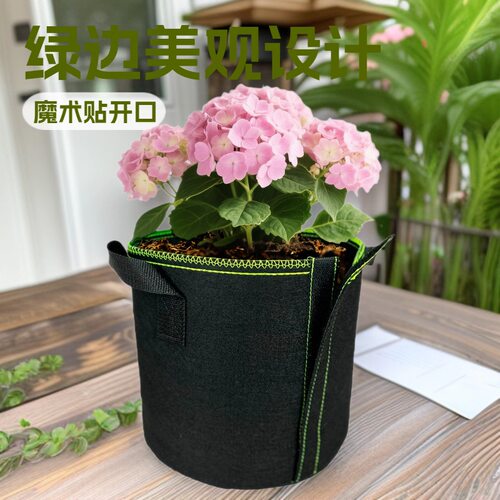 侧边魔术贴绿边可降解育苗袋