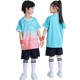 儿童羽毛球服男童训练服乒乓球衣女孩速干运动套装 网球服上衣夏季