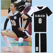 短袖 队服男女定制训练球衣比赛气排球服透气速干运动服 排球服套装