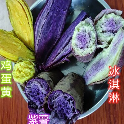 新鲜现挖鸡蛋农村番薯