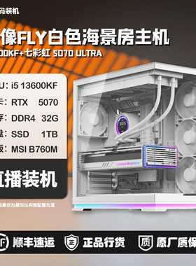 13600KF/9600X/5070ULTRA/映像FLY白色海景房主机[浩渺]