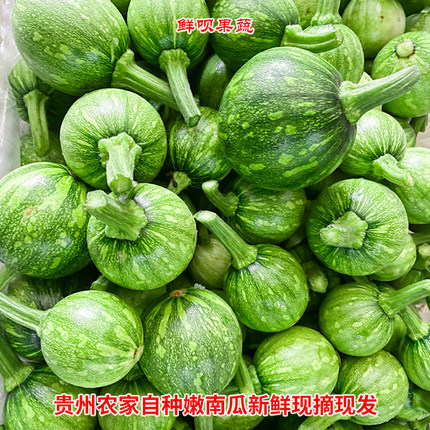 贵州嫩南瓜新鲜现摘农家当季蔬菜宝宝辅食专用板栗味健身代餐