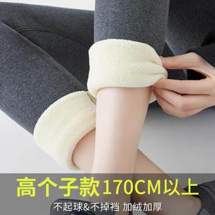 东北保暖裤 外穿高个子加绒加厚高腰羊羔绒打底大码 女冬季 加长棉裤
