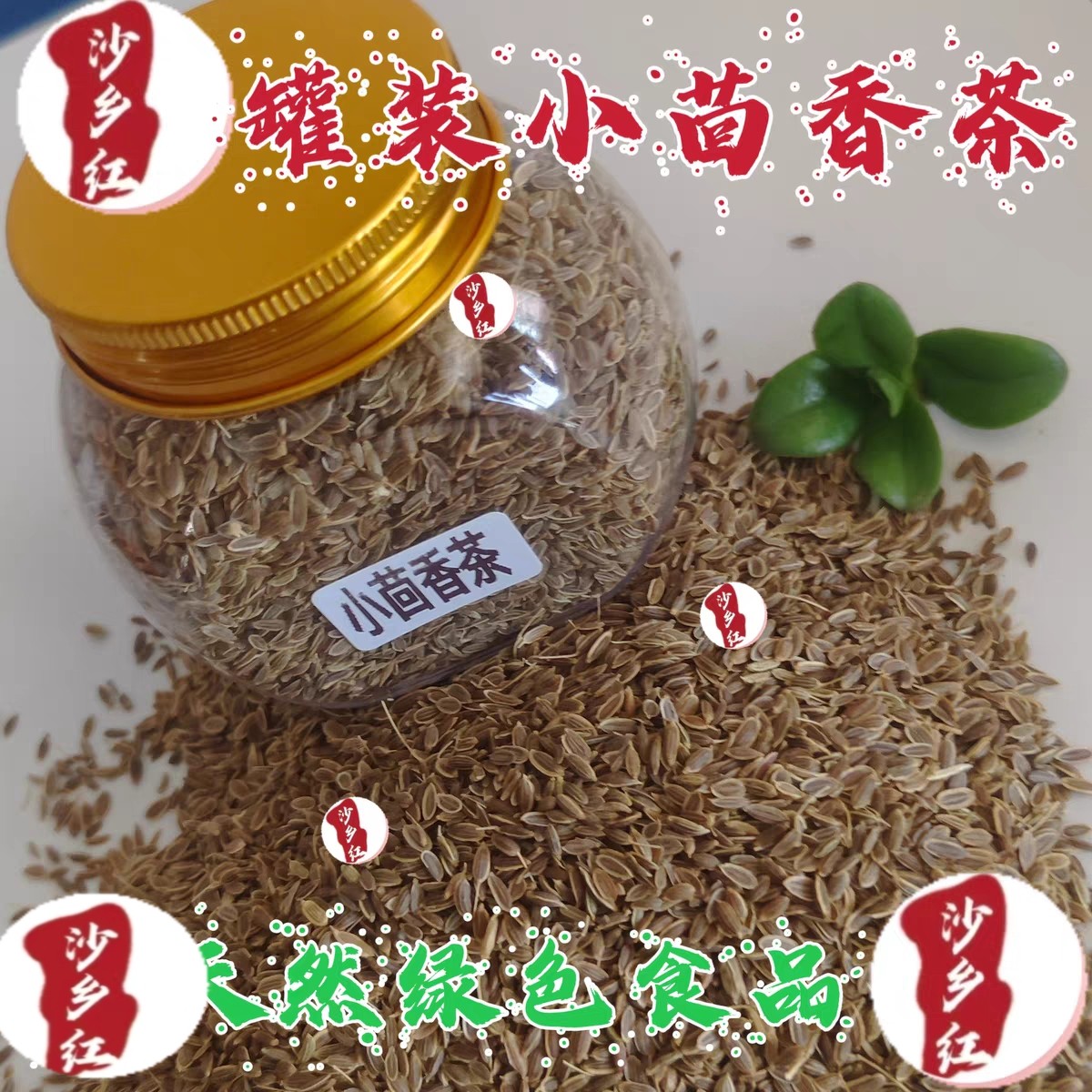 甘肃民勤小茴香茶沙漠特产小茴香正品优质茶小茴香籽