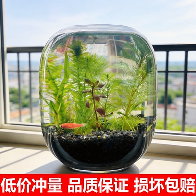 古法生态鱼缸diy套装全套