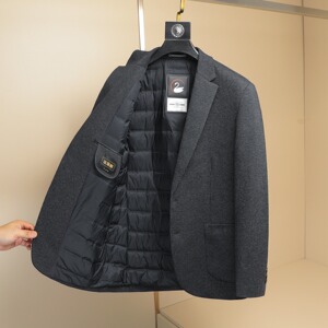 2025冬款男士西服羽绒90白鸭绒-D252-8212P255挂拍图片