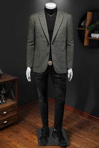 2025冬款男士西服羽绒90白鸭绒-D252-8210P240假模图片