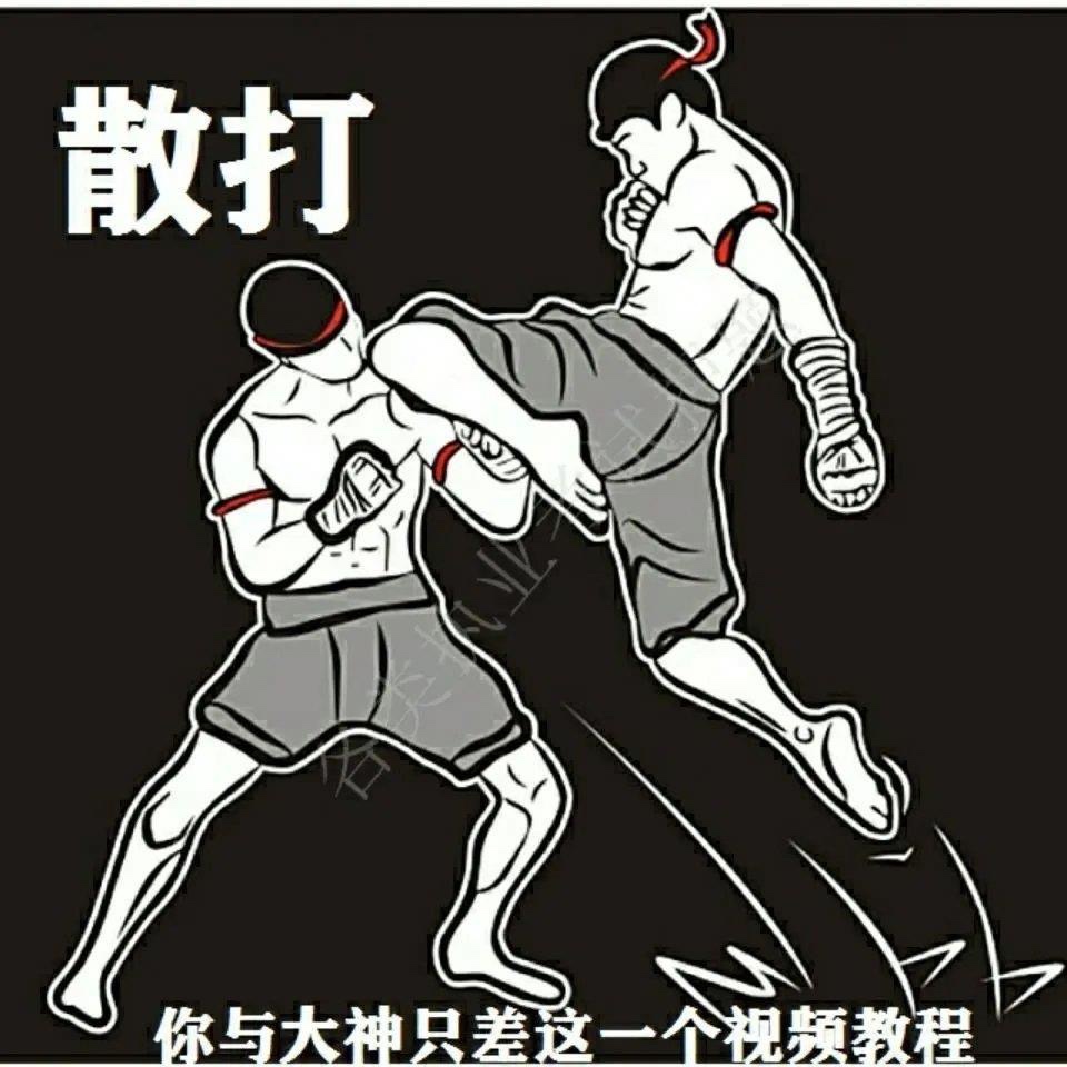 全套散打教学视频武术自学格斗术培训教程街头防身术零基础入门学