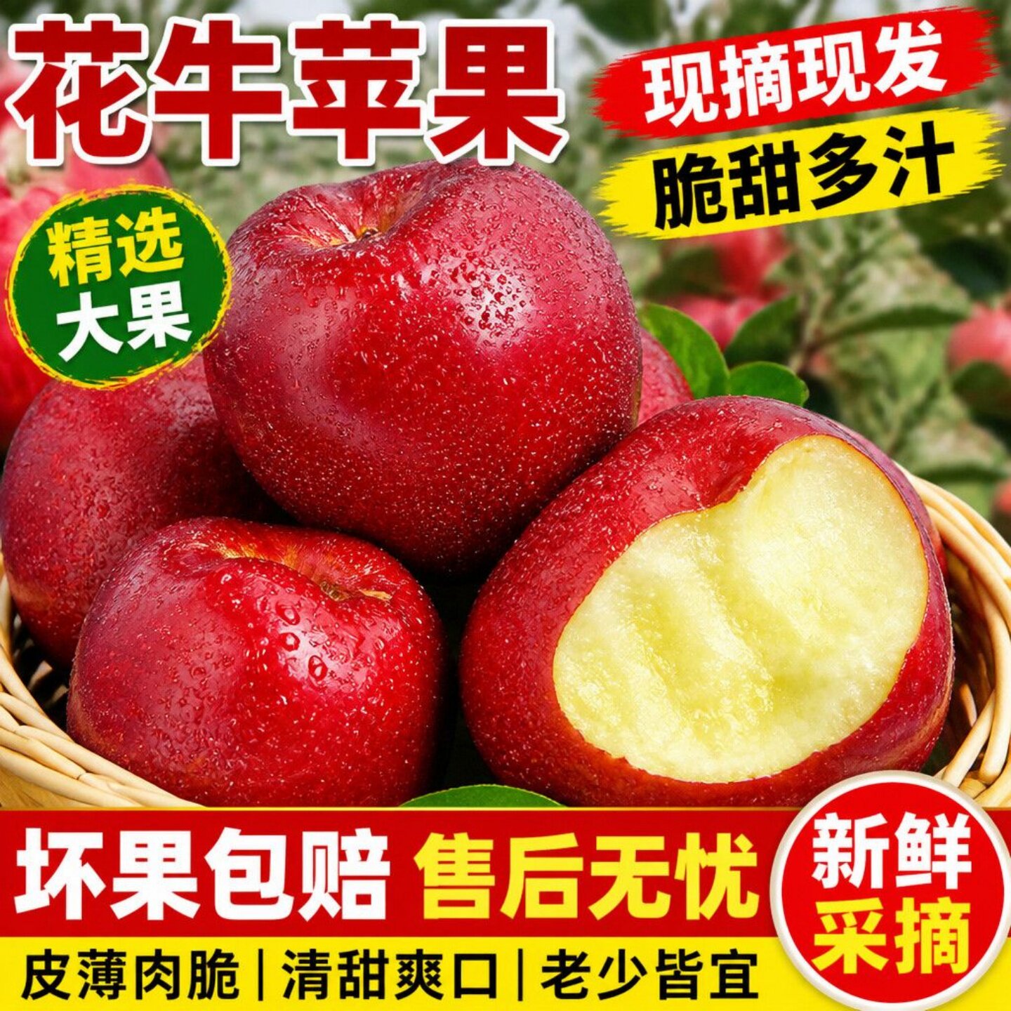 花牛苹果新鲜水果当季整箱粉面孕苹果