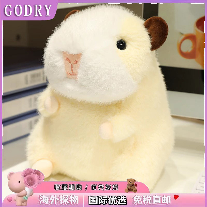 日本GODRY仓鼠娃娃荷兰猪公仔毛绒玩具玩偶抱枕卡皮巴拉土拨鼠女