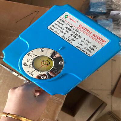 BT-40-E-55S-01 4-20MA电动执行器BT-40-E-30S-01