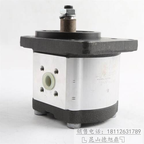 德国REXROTH齿轮泵0510525074原装力士乐