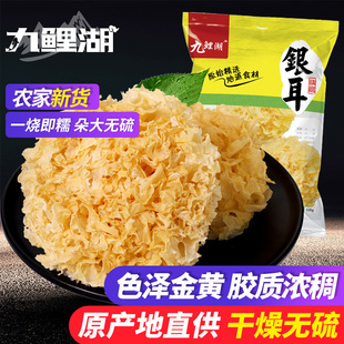 九鲤湖福建银耳新货大朵白木耳无硫胶质浓稠100g 袋原料产地古田