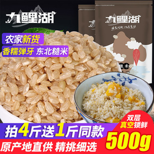 袋 买4送1 500g 东北大米胚芽玄米活米粗粮五谷杂粮 九鲤湖 糙米