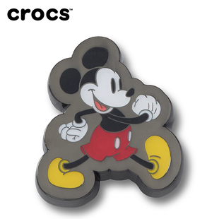 Crocs卡骆驰配饰智必星洞洞鞋鞋花  质感布鲁托 质感高飞