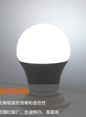 LED球泡e2710w品牌led灯泡