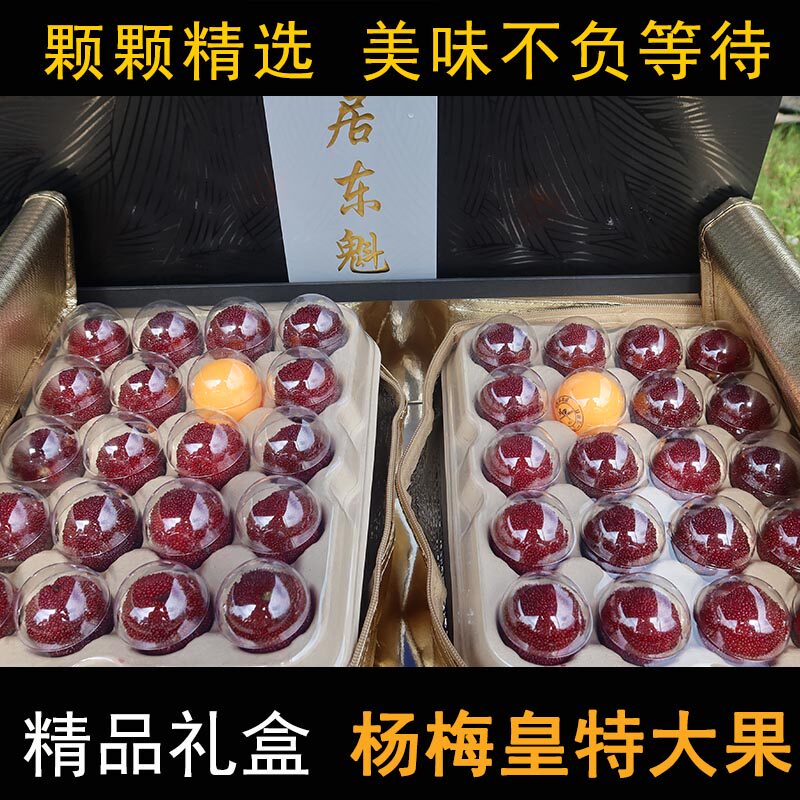 【杨梅皇颗粒装】正宗仙居东魁杨梅皇孕妇水果新鲜大果豪华礼盒装