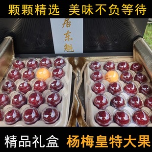 【杨梅皇颗粒装】正宗仙居东魁杨梅皇孕妇水果新鲜大果豪华礼盒装