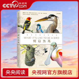 何以为鸟 西布利的鸟类世界 西布利全新画册 从飞翔 筑巢 觅食到鸣唱 以观鸟之名 开启认识世界的新维度DL