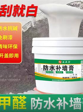 白色防水防潮防霉补墙膏