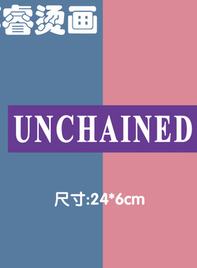 字母紫色柯式pet胶印T恤裤腿装饰贴热转印烫画贴定制diy