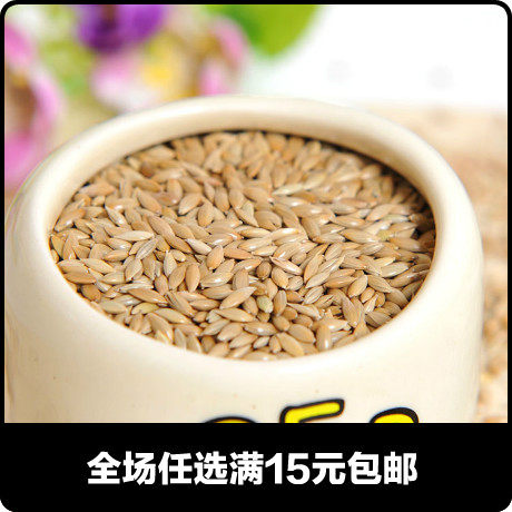 加纳利子进口草籽白尖粟油尖粟增膘提性鹦鹉文鸟类仓鼠龙猫兔子