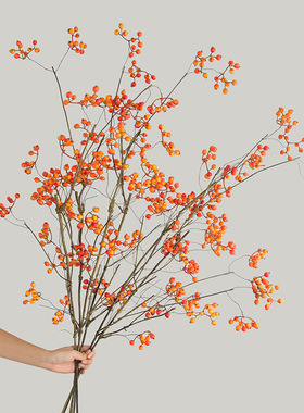 新中式禅意插花山归来果子藤条浆果 年宵花抱抱桶花材仿真千层金