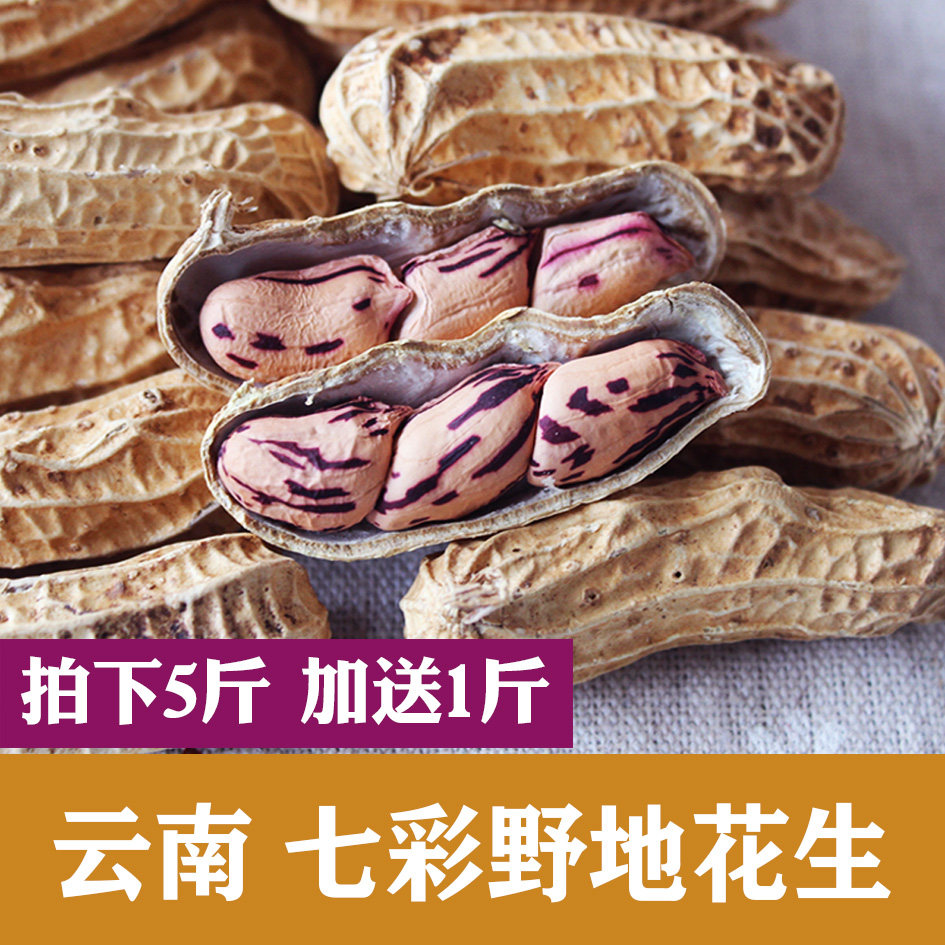 云南七彩花生野地花生非红皮花生包邮水果甜味花生 带壳新花生5斤