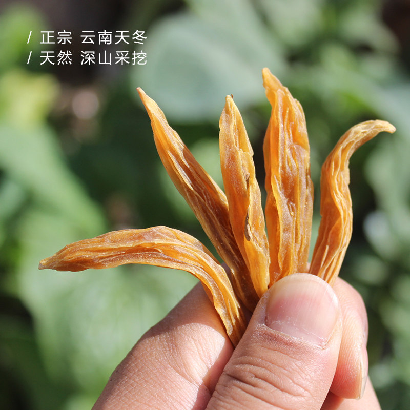 【深山采挖】云南天冬野生天门冬泡酒非麦冬无硫去皮干货500克