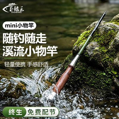 新款小物钓鱼竿套装溪流竿亲子钓鳑鲏马口儿童钢笔鱼竿短节小手竿