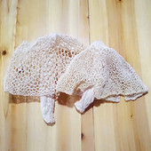 长裙竹荪干货100g四川特产食用菌煲汤火锅竹荪干货