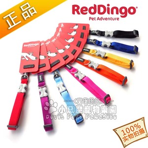 澳大利亚瑞鼎狗RedDingo纯色狗狗项圈 可调节长度脖圈
