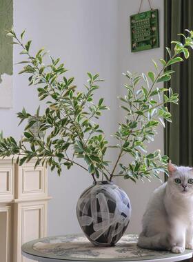 黄杨叶鲜切枝渐变色叶材鲜花新鲜水养造型插花中式禅意秋冬天色顺