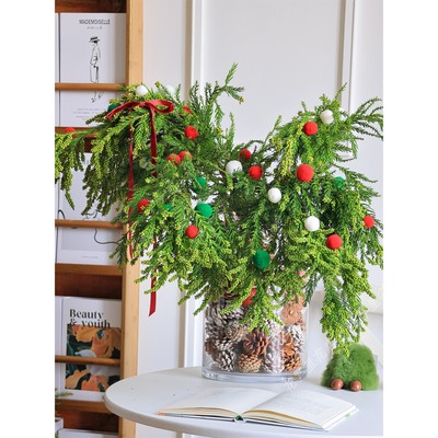 柳杉松果松枝插花新鲜采摘歪脖子