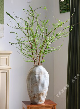 雪柳花A级精选鲜切花【新鲜真花】带花苞发货家用水养插花上海直